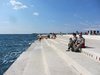 IMG_9250