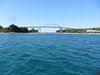 IMG_9310