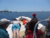 IMG_9373