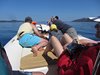 IMG_9494
