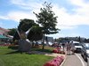 IMG_9654