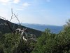 IMG_9837