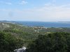IMG_9858