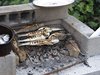 Img09972