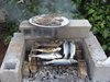 Img09986