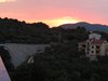 IMG_0111
