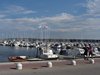 IMG_0041