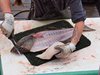 Alaska_Homer_Kajaky (75)