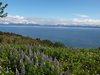 Alaska_Homer_Kajaky (7)