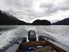 Alaska_Homer_Kajaky (65)