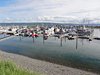 Alaska_Homer_Kajaky (18)