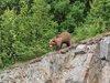 Alaska_Homer_Kajaky (4)