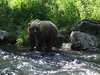 Alaska_Russian river_Seward_Exit Glacier (13)