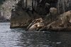 Alaska_Russian river_Seward_Exit Glacier (111)