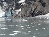 Alaska_Russian river_Seward_Exit Glacier (87)