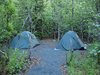 Alaska_Russian river_Seward_Exit Glacier (57)