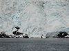 Alaska_Russian river_Seward_Exit Glacier (88)
