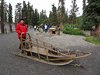 Alaska_Denali NP (60)