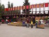Nenana_Fairbanks_Chena Hot Springs_North Pole (23)