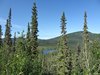 06_Alaska_do Dawson city (7)