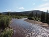 06_Alaska_do Dawson city (10)