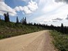 06_Alaska_do Dawson city (15)