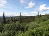 06_Alaska_do Dawson city (14)