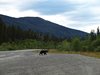 10_Alaska_Chilkoot trail (214)