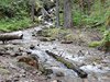 10_Alaska_Chilkoot trail (36)