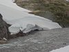 10_Alaska_Chilkoot trail (115)