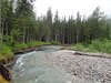 10_Alaska_Chilkoot trail (46)