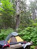 10_Alaska_Chilkoot trail (19)