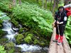 10_Alaska_Chilkoot trail (23)