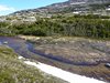10_Alaska_Chilkoot trail (140)
