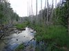 10_Alaska_Chilkoot trail (11)