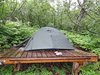 10_Alaska_Chilkoot trail (49)