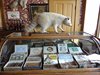 09_Whitehorse_Skagway (41)