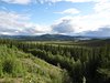 12_Alaska_Kluane_Burwash landing_Valdez (47)