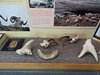 12_Alaska_Kluane_Burwash landing_Valdez (29)
