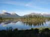 12_Alaska_Kluane_Burwash landing_Valdez (60)