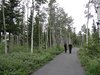 13_Alaska_Cooper Land_Wrangler (16)