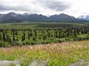 13_Alaska_Cooper Land_Wrangler (20)