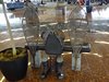 13_Alaska_Cooper Land_Wrangler (98)