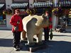 13_Alaska_Cooper Land_Wrangler (83a)