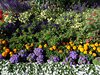13_Alaska_Cooper Land_Wrangler (69)