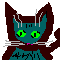 kot