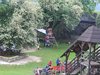 IMG_6842