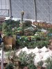 IMG_7865
