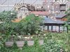 IMG_7835