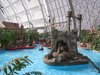 IMG_7851